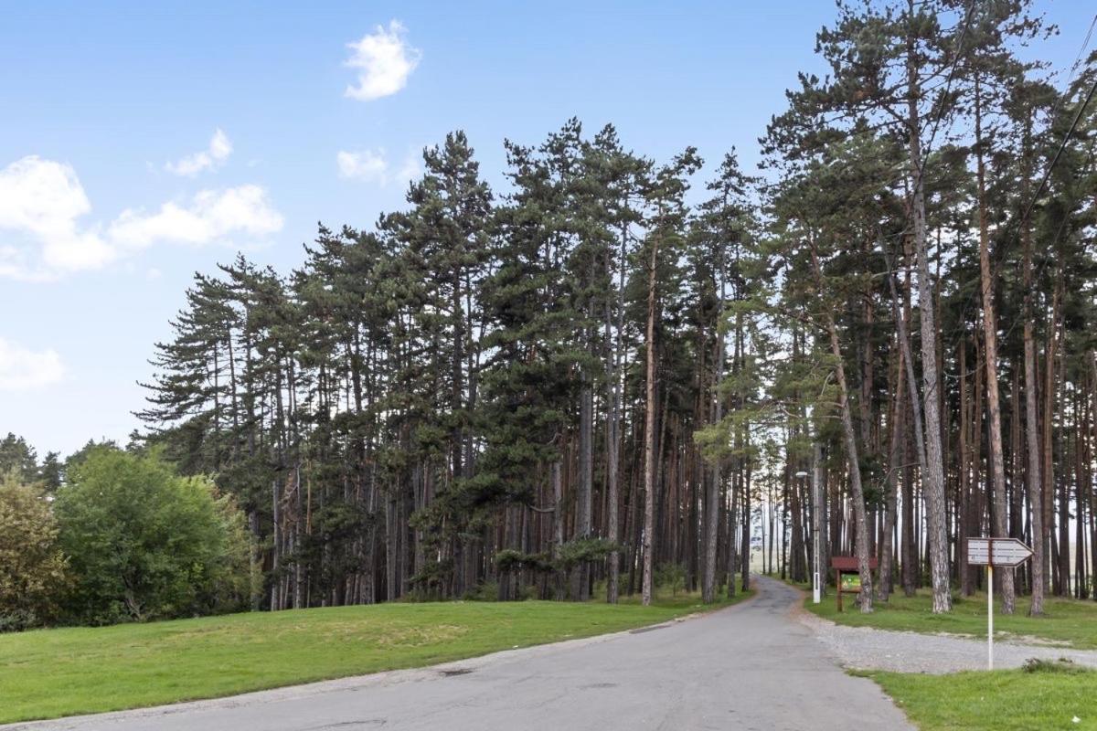 Casa Georgea Villa Săcele Eksteriør bilde
