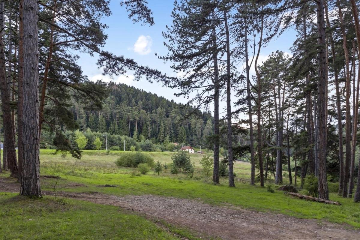 Casa Georgea Villa Săcele Eksteriør bilde